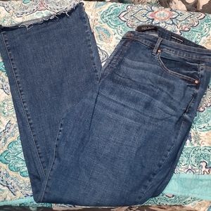 Judy Blue Control Flares Size 24